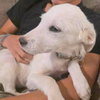 Gia - Photo 3