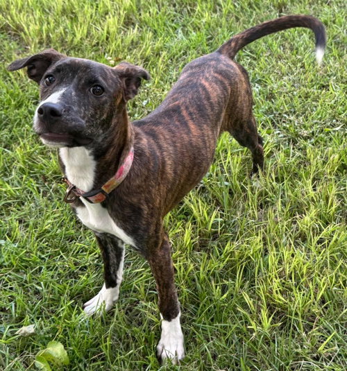 Photo 2 of Moxie