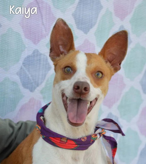 Photo 3 of Kaiya