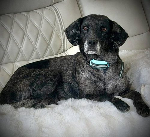 Photo 2 of Mollie Mae
