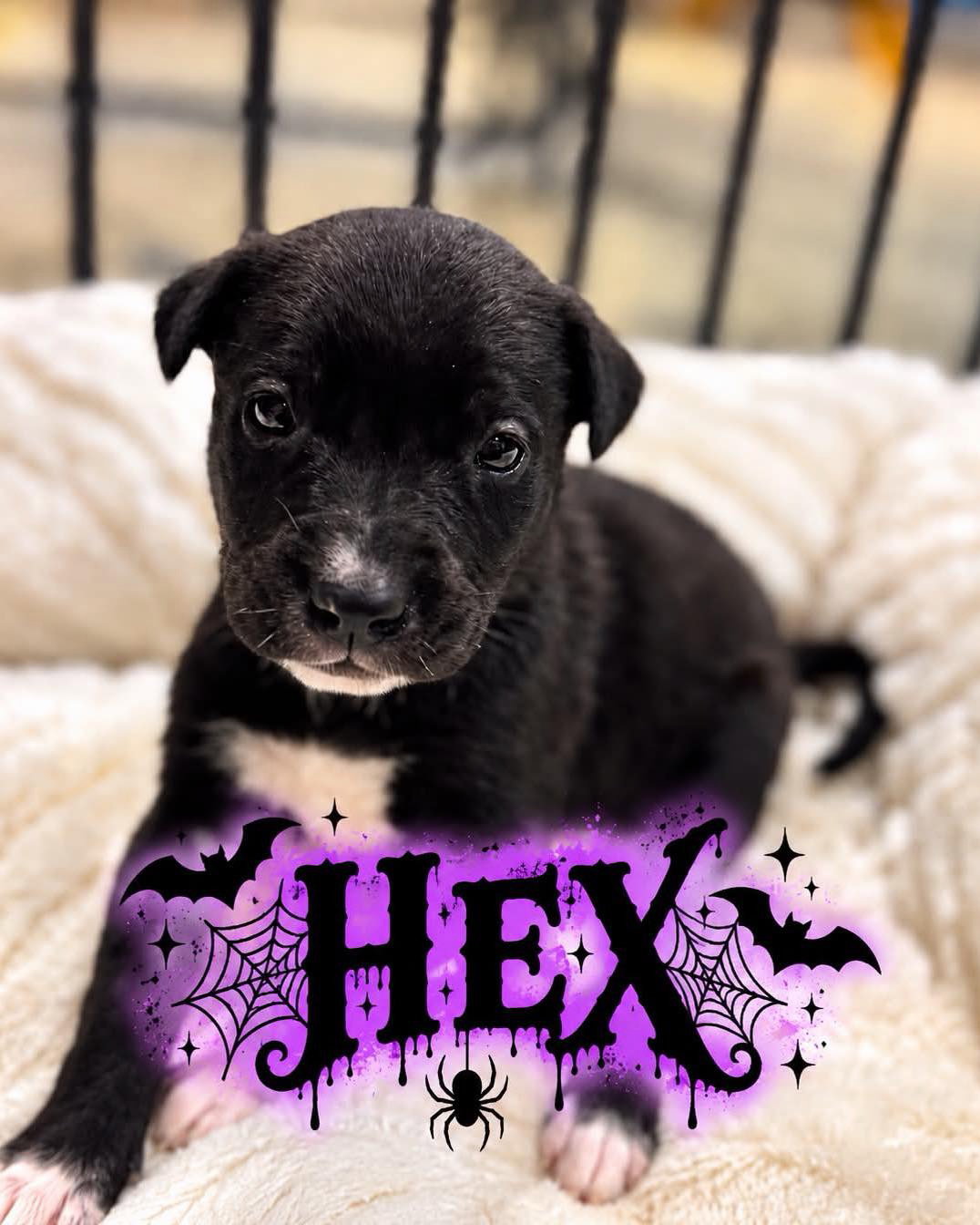 Hex
