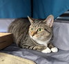 Emmie - Photo 3