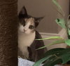Marie - Photo 1