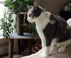 Marie - Photo 3