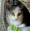 Marie - Photo 4