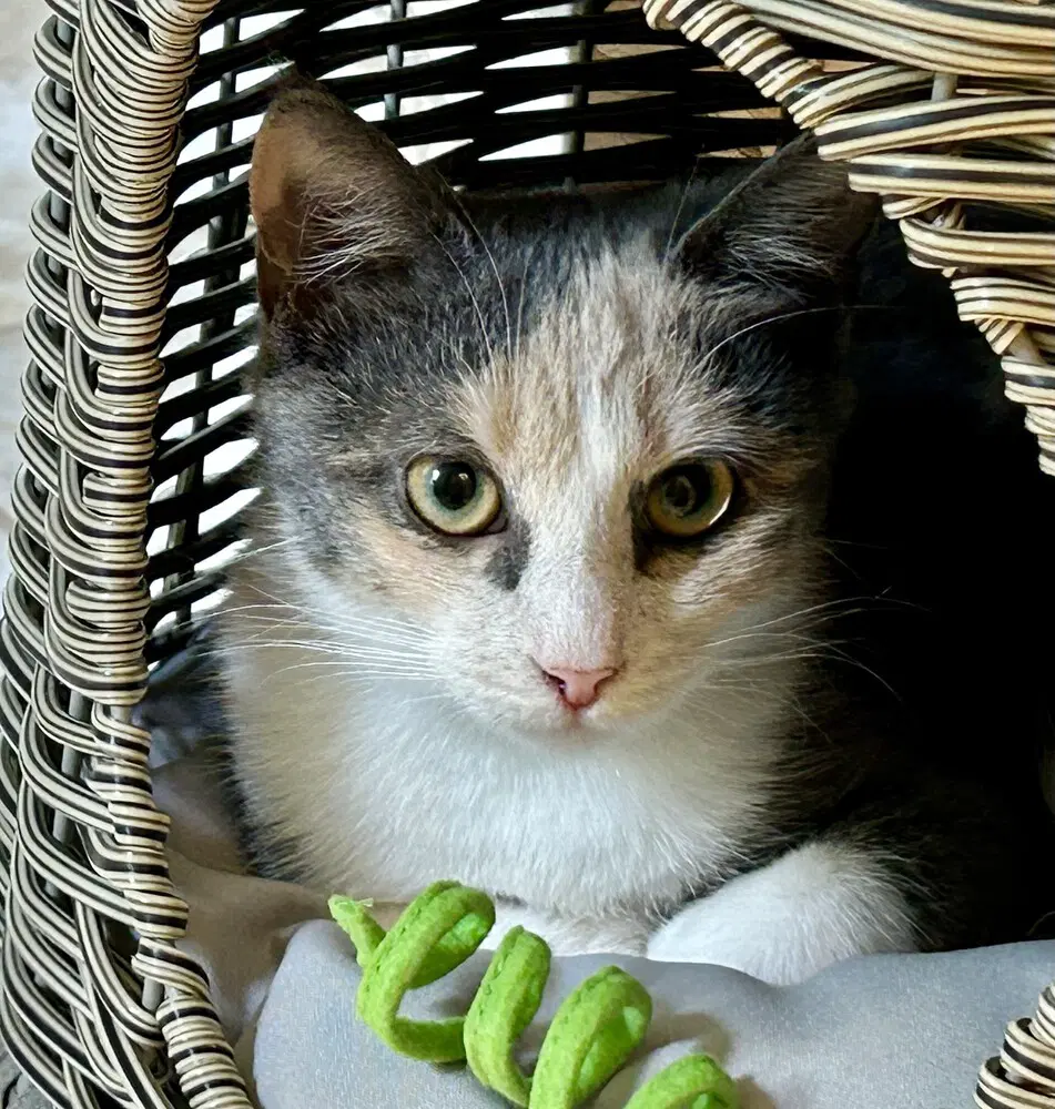 Marie image 2