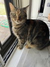 Tinkerbell - Photo 4