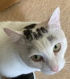 Eli - Photo 4
