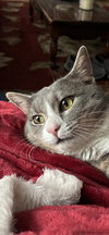 Smokey - Photo 2