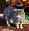 Smokey - Photo 3