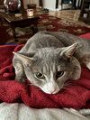 Smokey - Photo 4