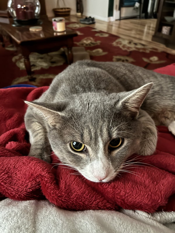 Smokey