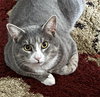 Smokey - Photo 1