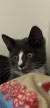 Tony - Photo 4
