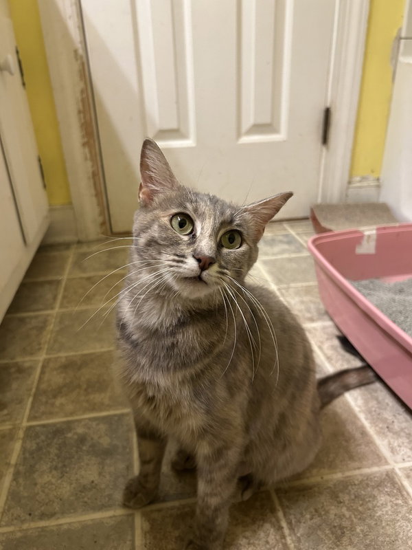 Fiona