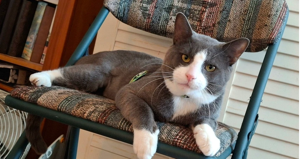 Oliver