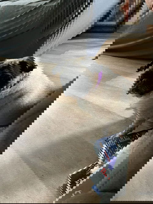 max