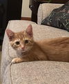 Wilbur