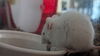 Casper