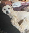 Billy