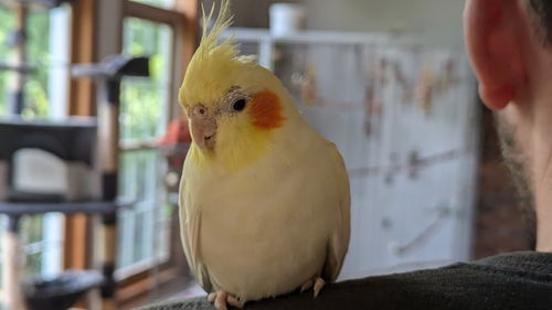 Sammy