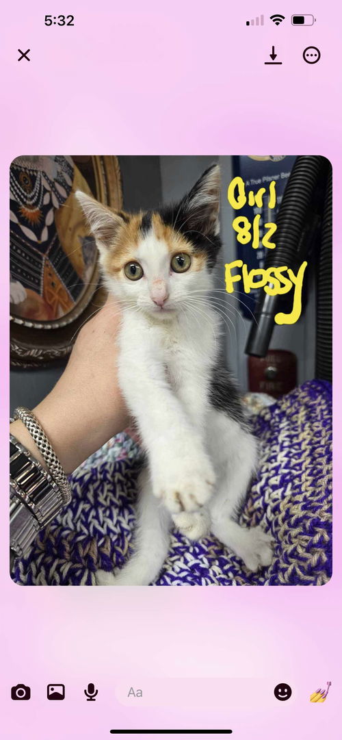 Flossy