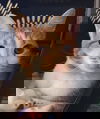 Roni
