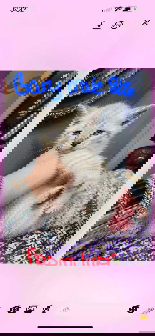 Gary