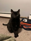 Nova - Photo 2