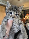 Laverne