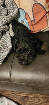 Velcro