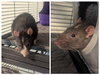 Holmes and Watson