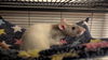 Pixel, Gidget, Quark, Nova