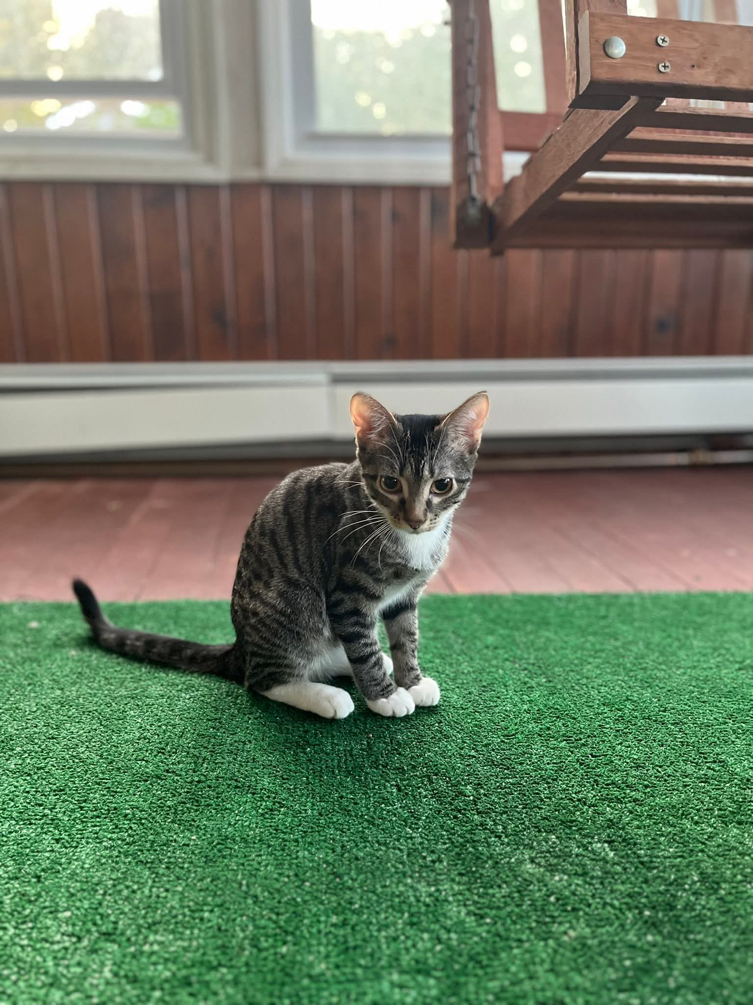 Rena Image