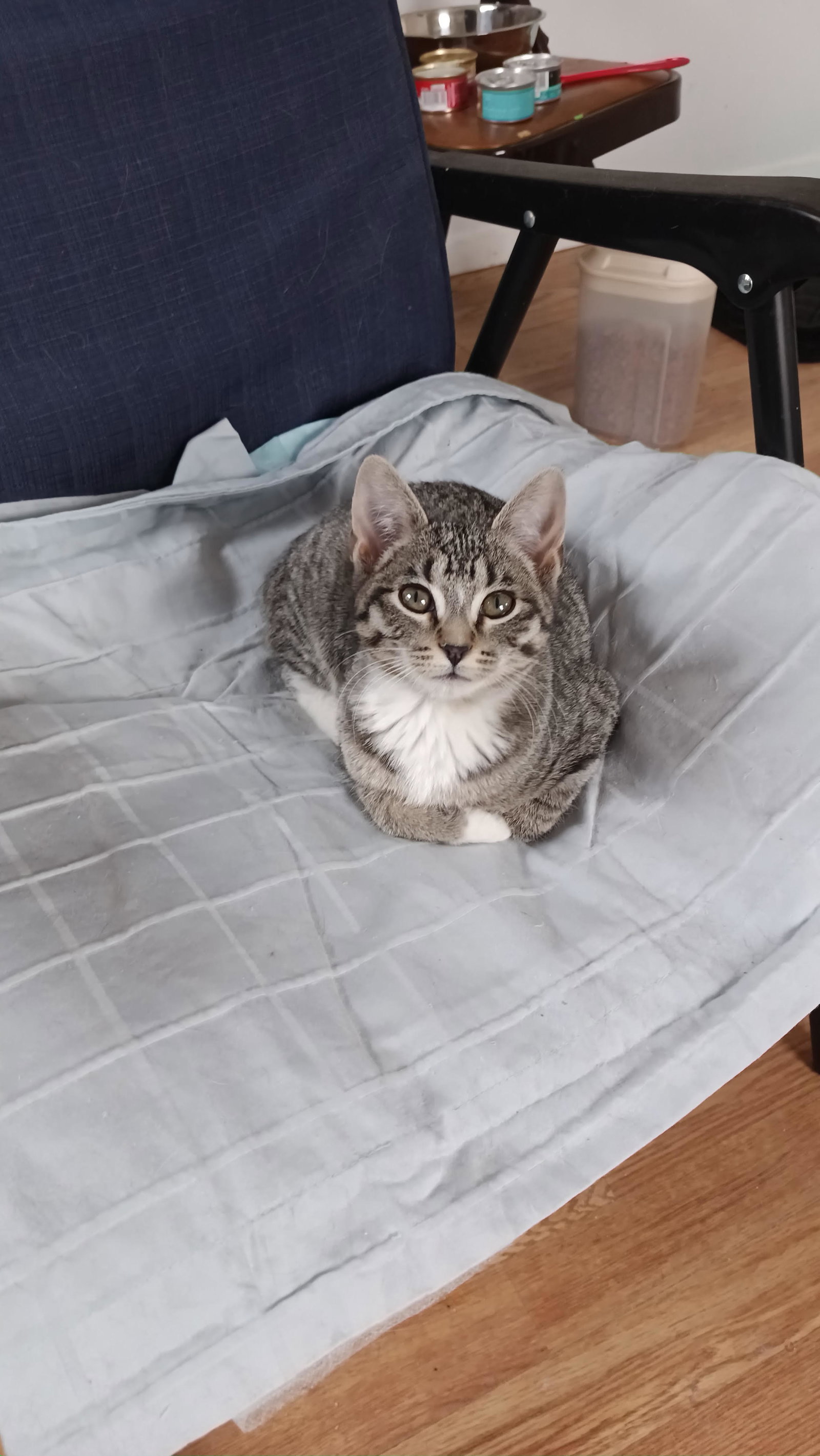 Sally Image