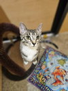 Sally - Photo 2