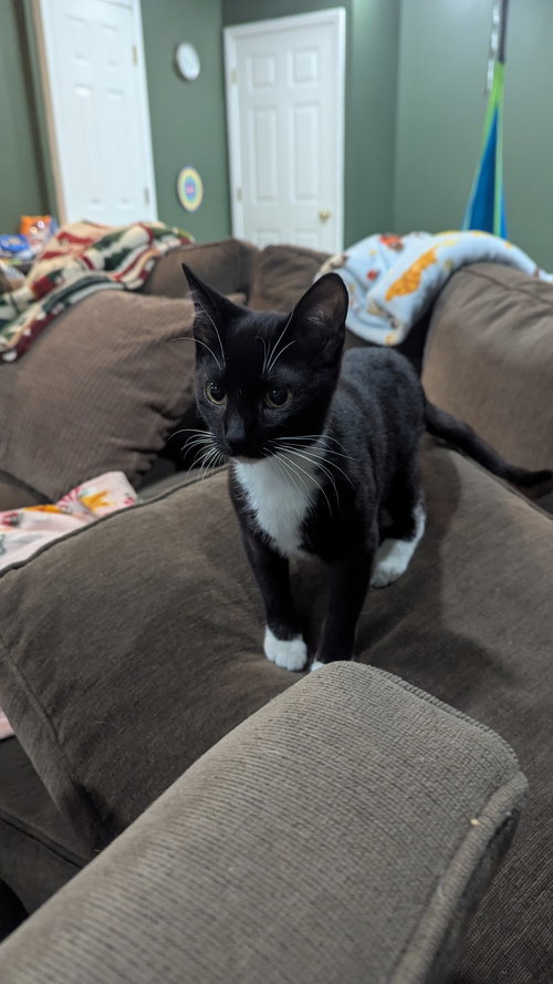 Binx