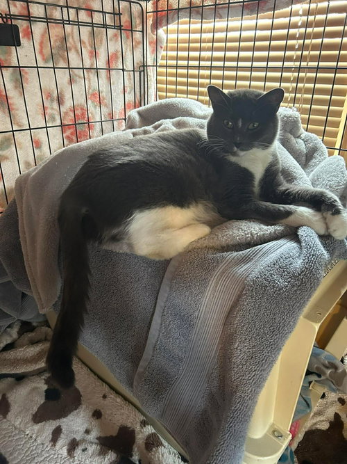 Photo 3 of Nami