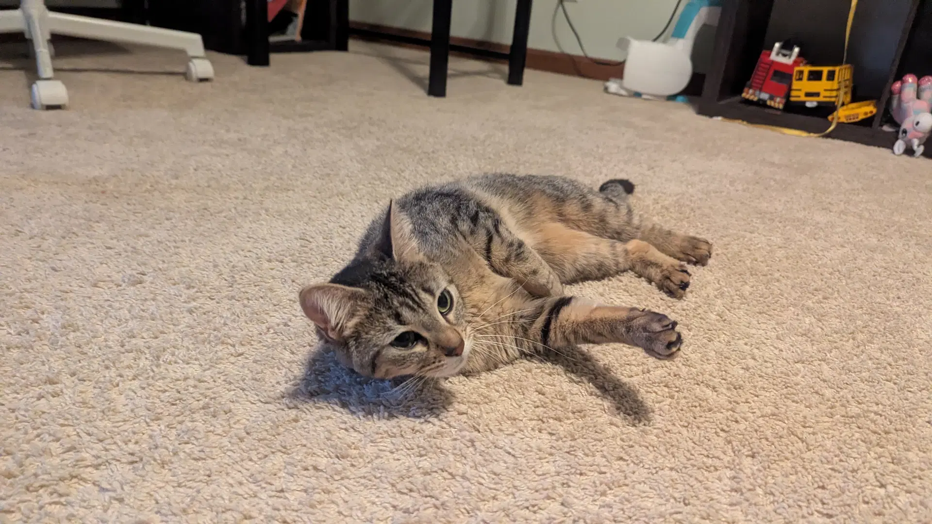 Tabitha image 2