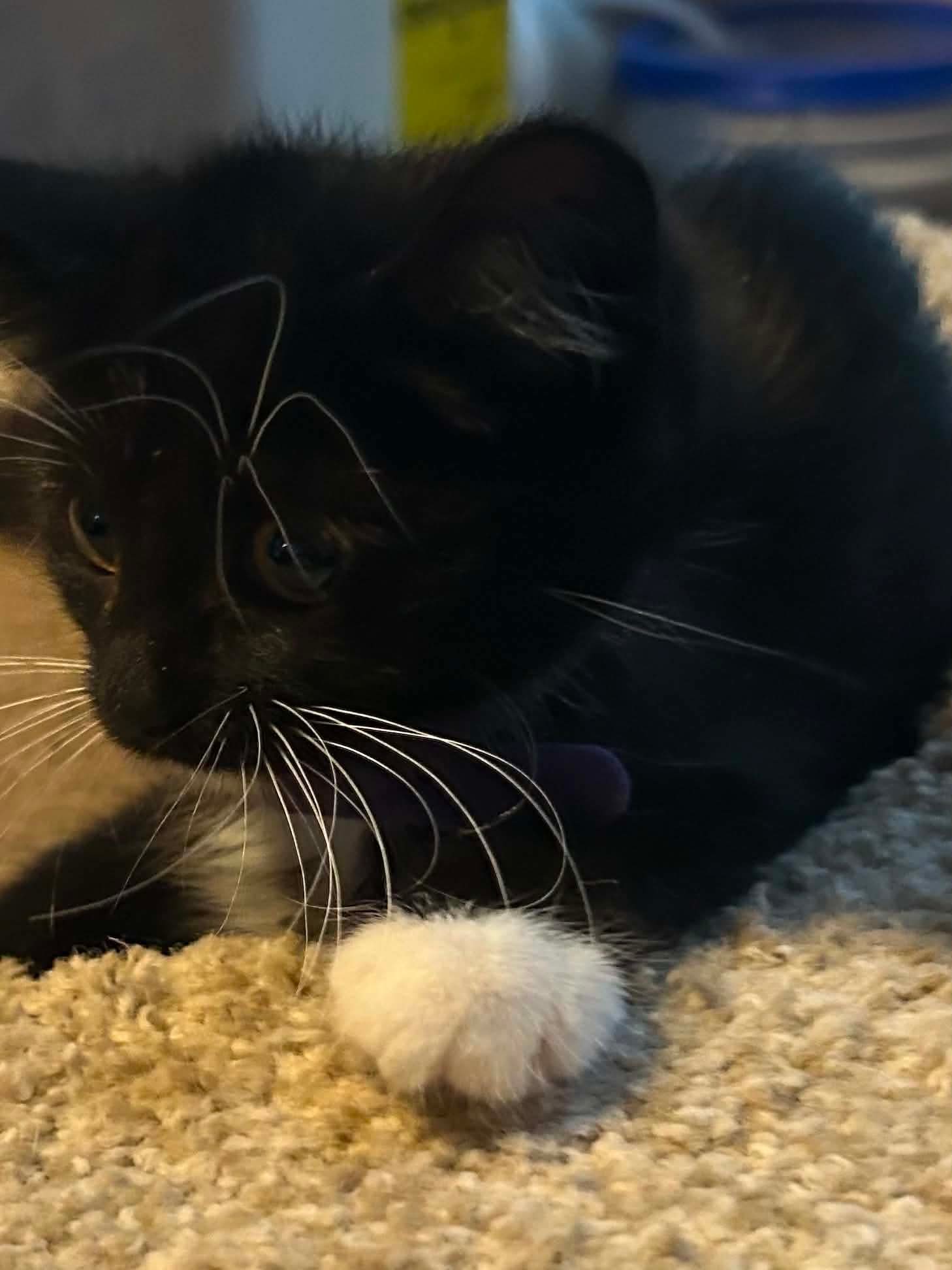 Sleepy