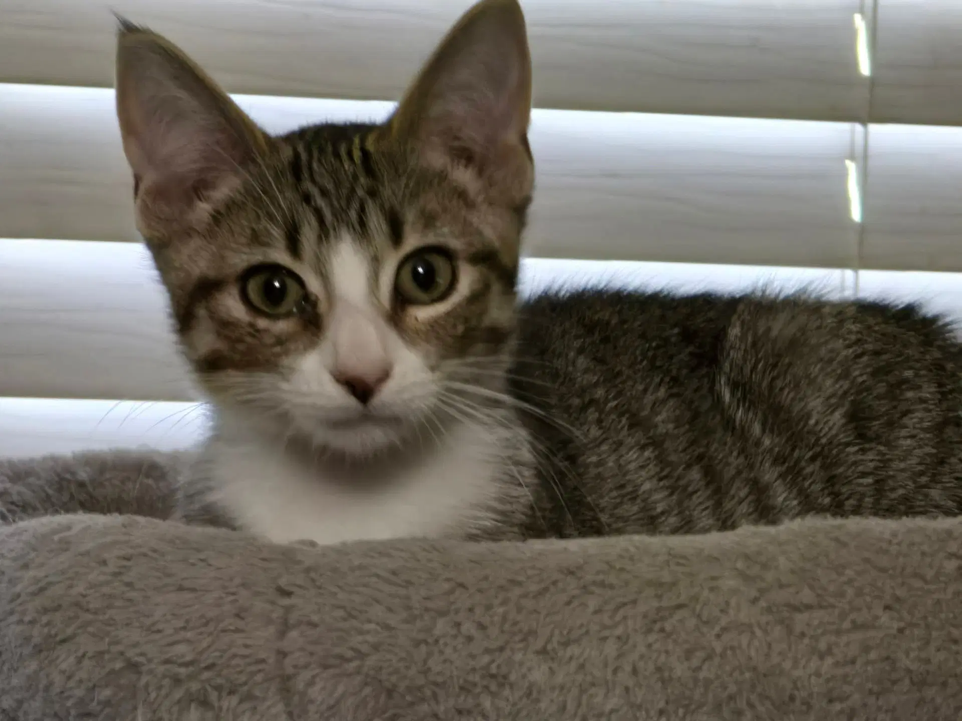 Mikayla image 1