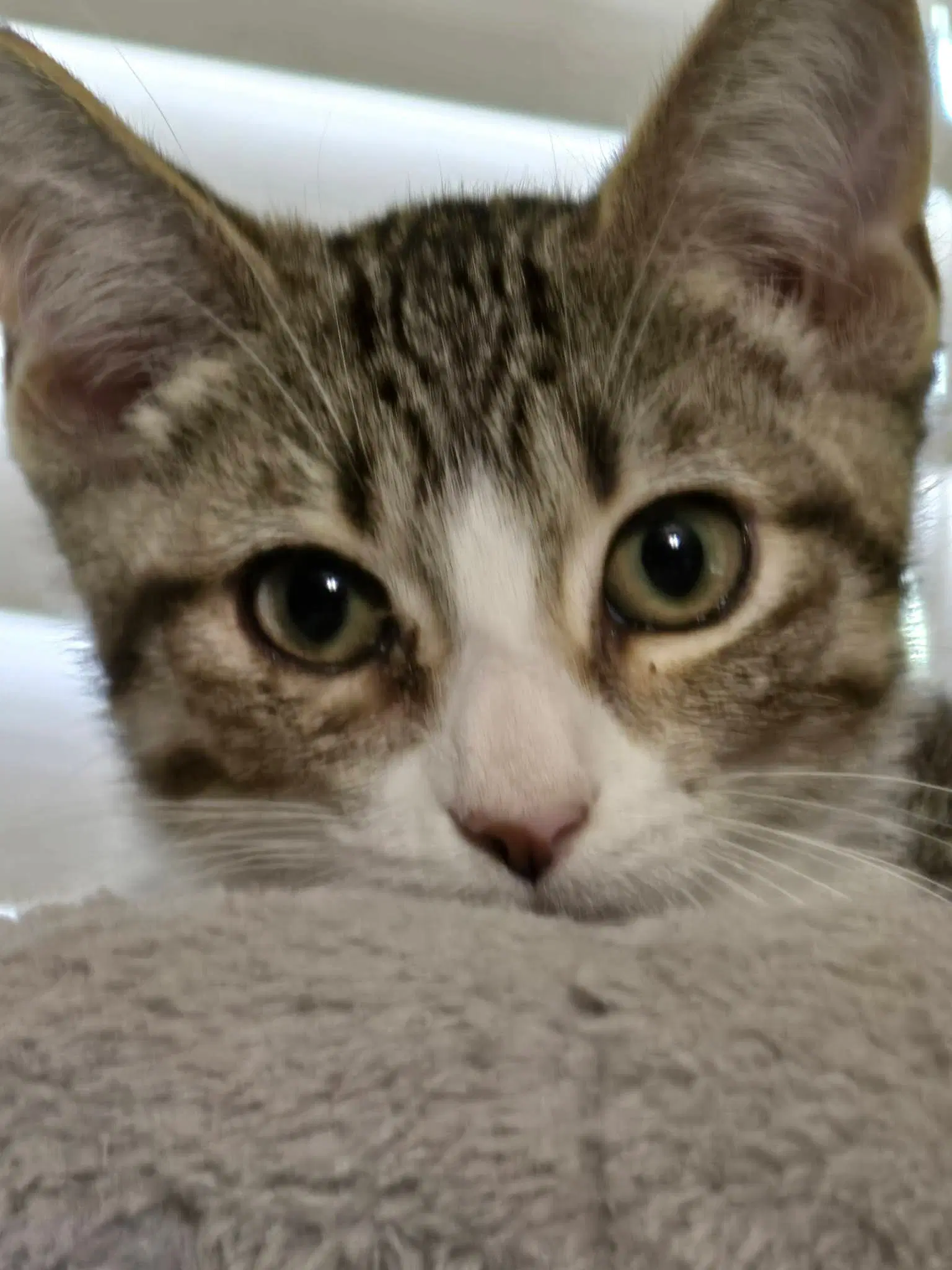 Mikayla image 3