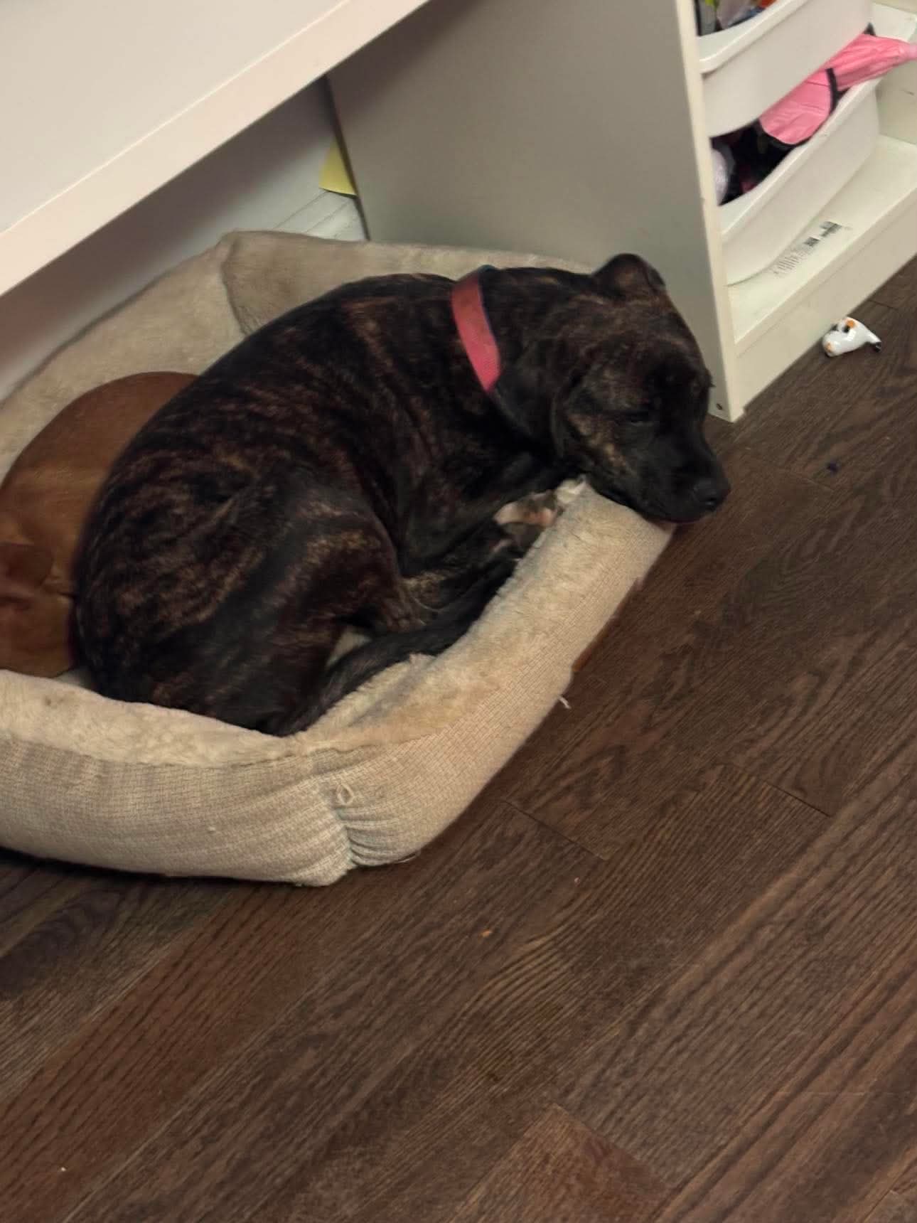 Penny