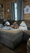Penny - Photo 5