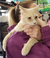 Charlotte - Photo 5