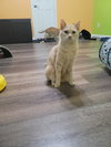 Charlotte - Photo 1