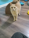 Charlotte - Photo 3