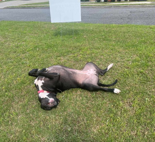 Bella photo 4