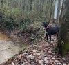 Bella - Photo 7