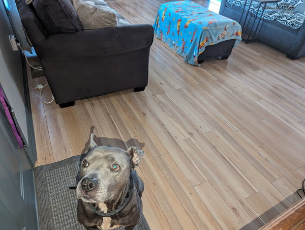Astro